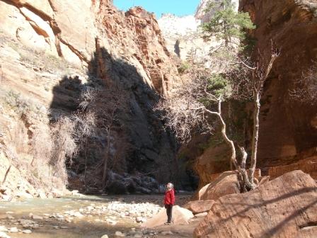 upper-zion-canyon