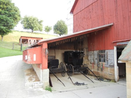 Amish 012