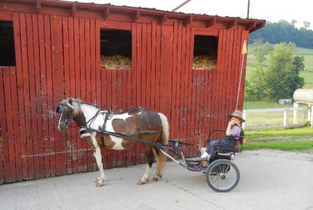 Amish 014