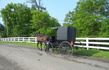 Amish 028