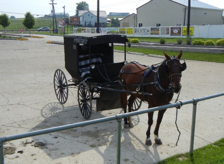 Amish 029